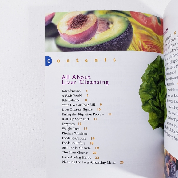 Liver Cleansing Handbook by Rhody Lake - Picture 3 of 4
